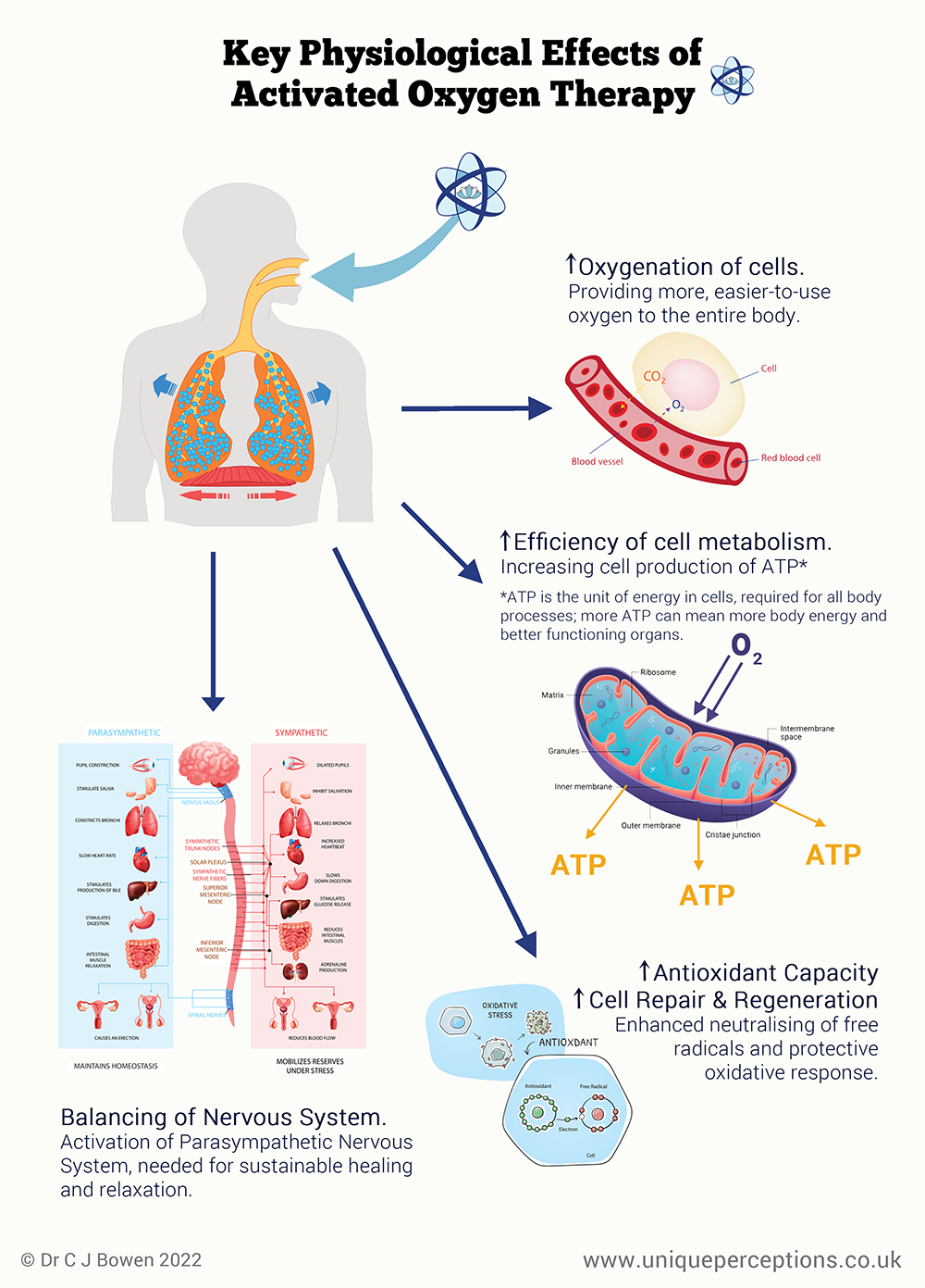 Physiological Effects of Activated Oxygen Therapy